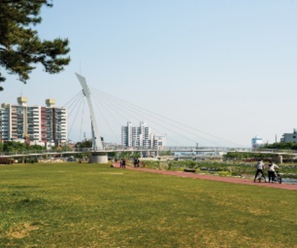 경산 남천 사장교